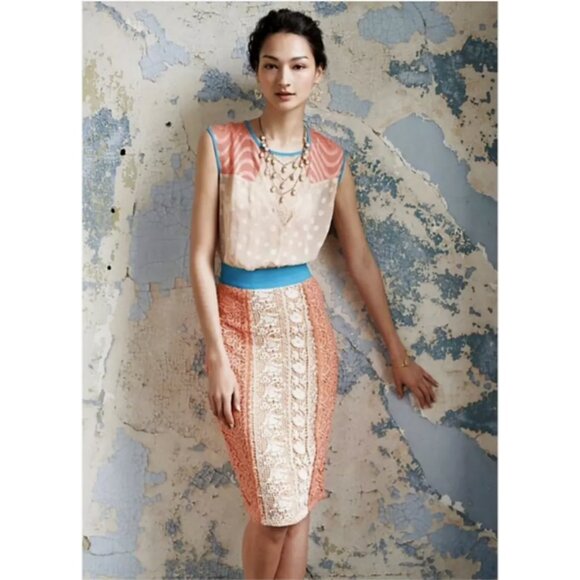 NWT Anthropologie Champagne & Strawberry Ephemere Lace Dress Women's Size 00